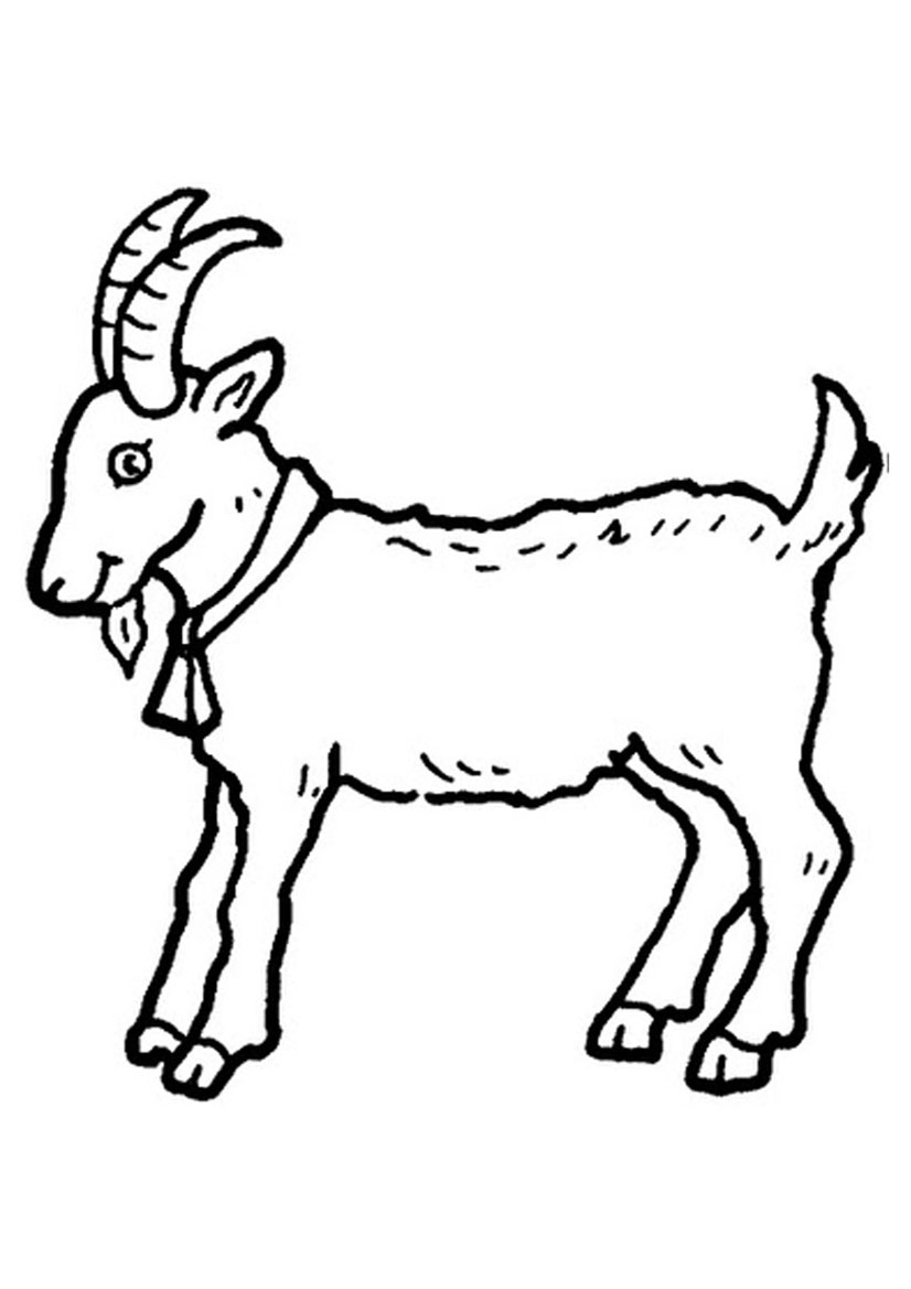 Goat coloring #3, Download drawings