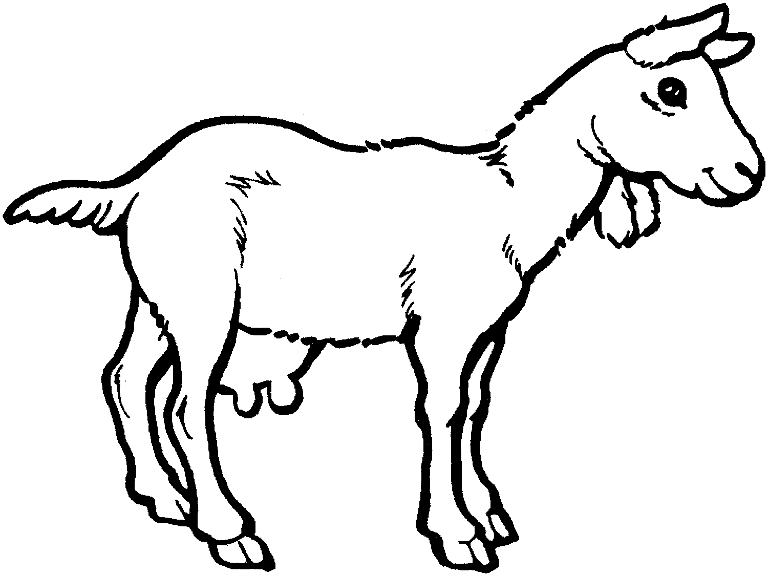 Goat coloring #6, Download drawings