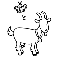 Goat coloring #1, Download drawings