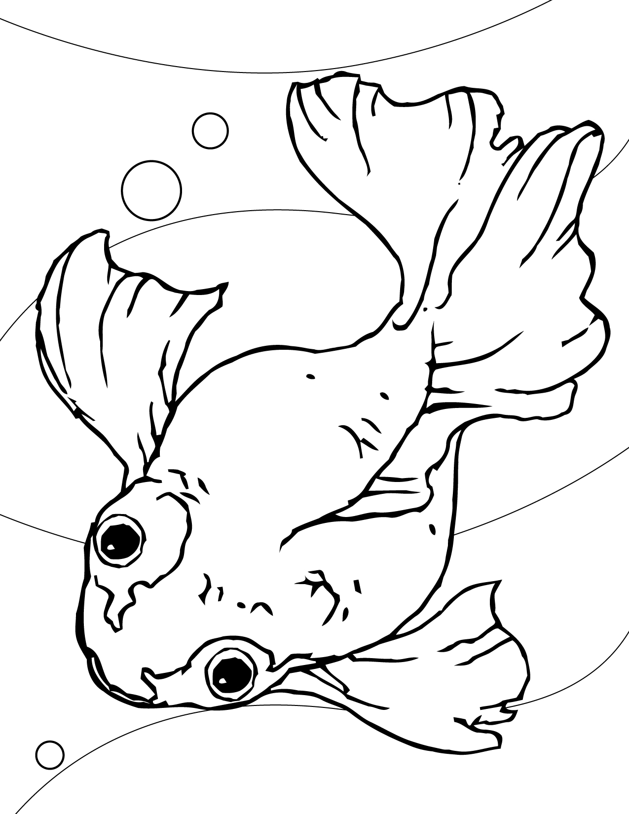 Goldfish coloring #16, Download drawings
