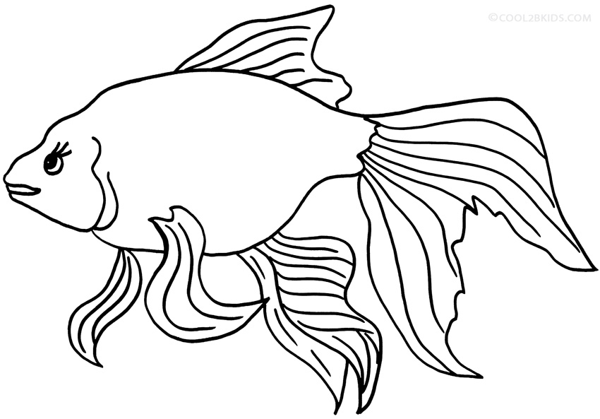 Gold Fish coloring #13, Download drawings