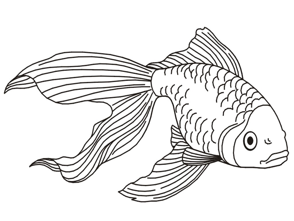 Goldfish coloring #20, Download drawings