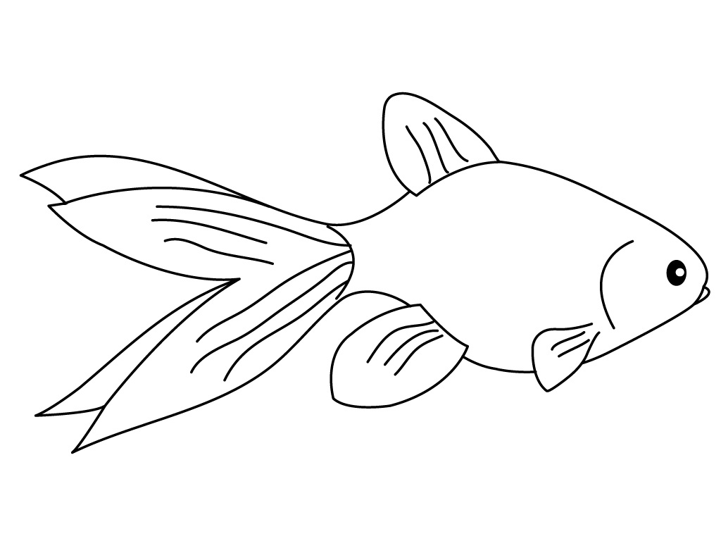 Gold Fish coloring #19, Download drawings
