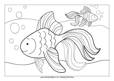 Gold Fish coloring #2, Download drawings