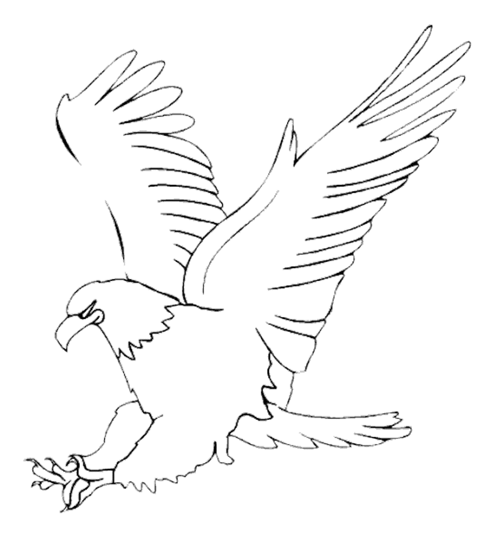 Golden Eagle coloring #4, Download drawings