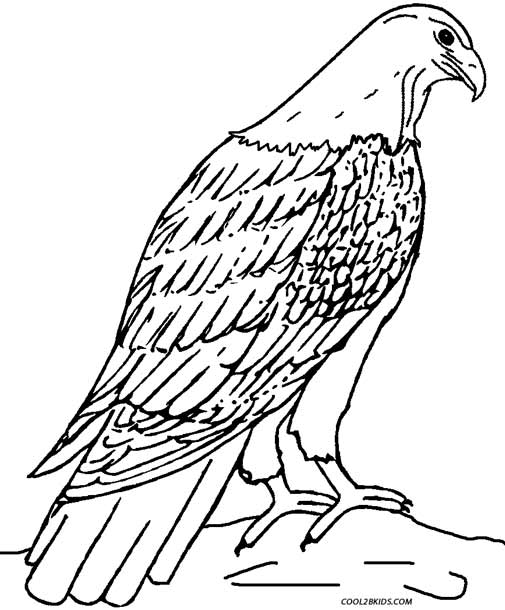 Golden Eagle coloring #8, Download drawings