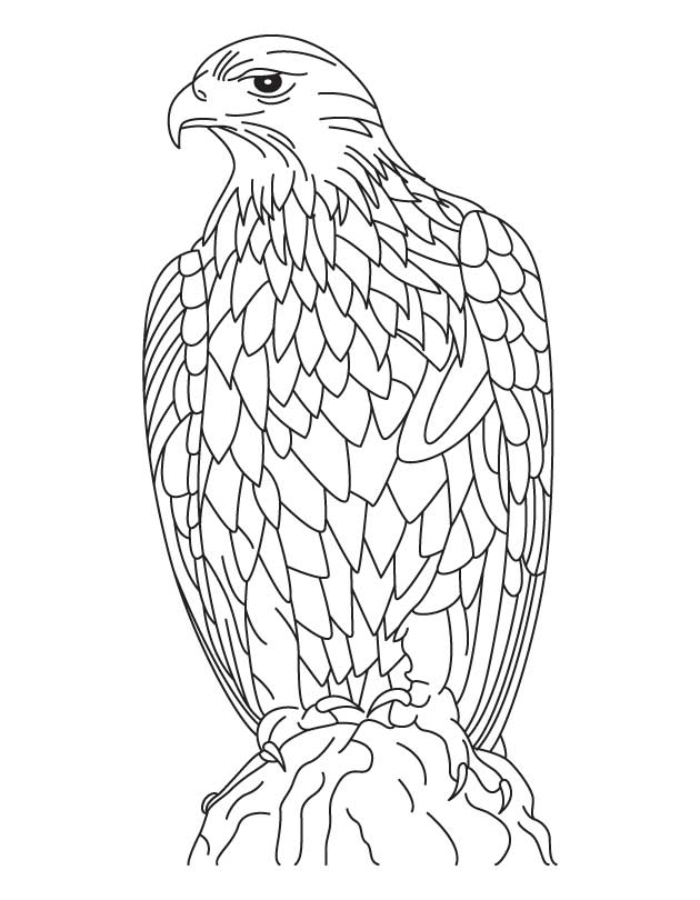 Golden Eagle coloring #7, Download drawings