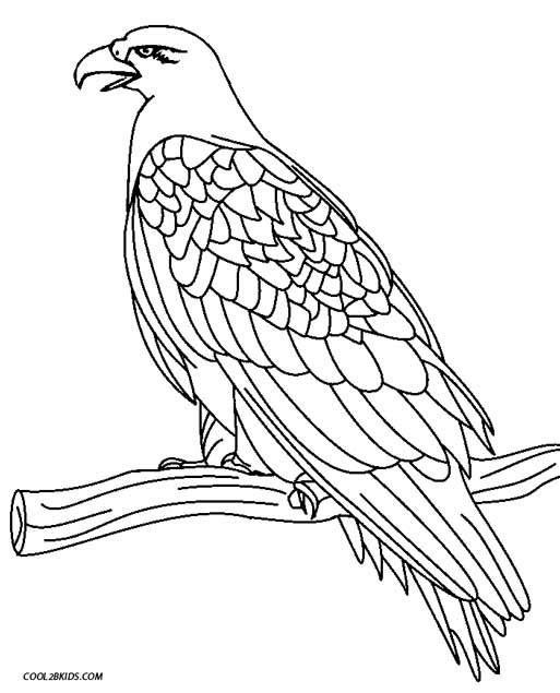 Golden Eagle coloring #3, Download drawings