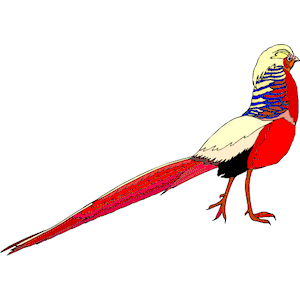 Golden Pheasant svg #20, Download drawings