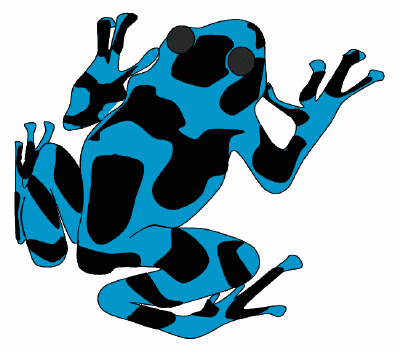 Golden Poison Frog clipart #16, Download drawings