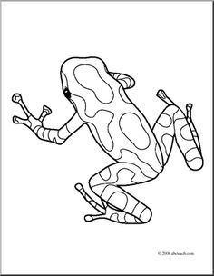Blue Poison Dart Frog svg #10, Download drawings
