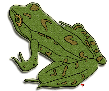 Golden Poison Frog clipart #8, Download drawings