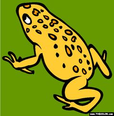 Golden Poison Frog coloring #1, Download drawings