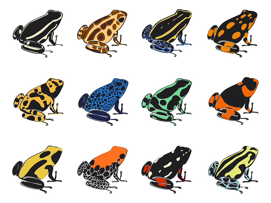 Golden Poison Frog coloring #16, Download drawings