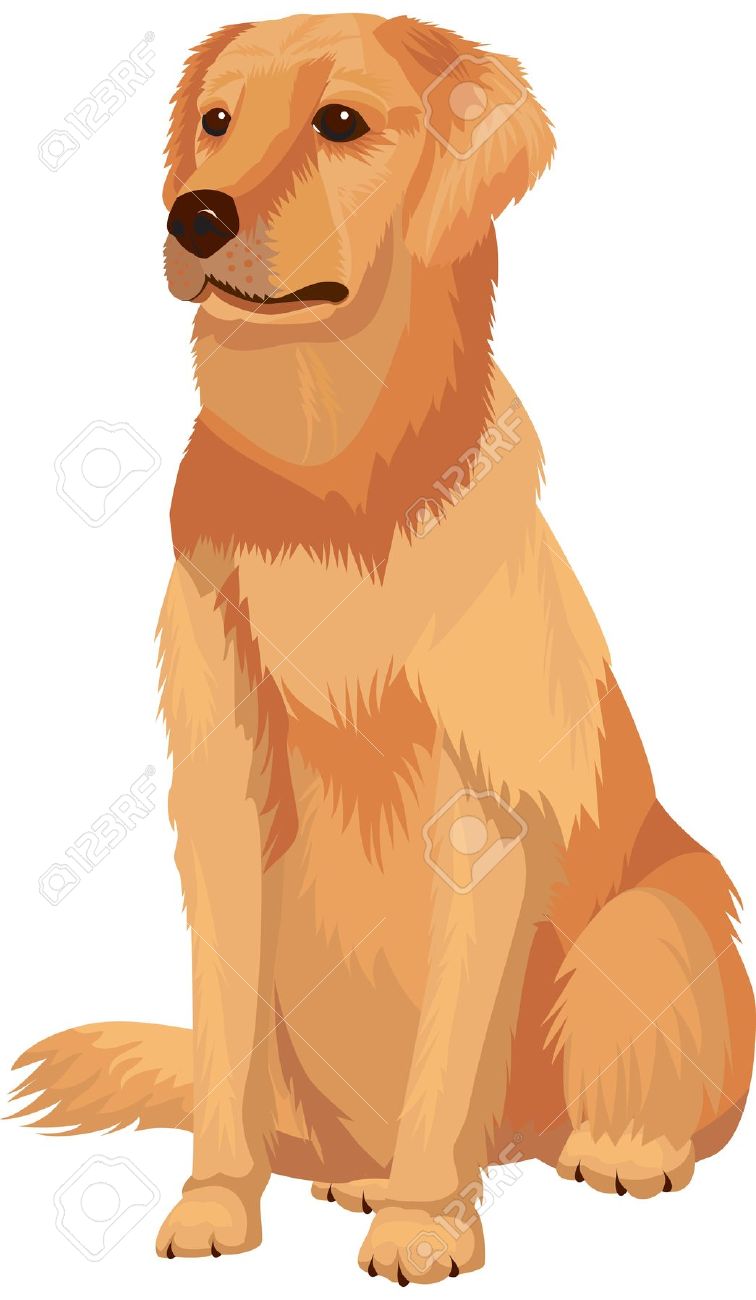 Golden Retriever clipart #9, Download drawings