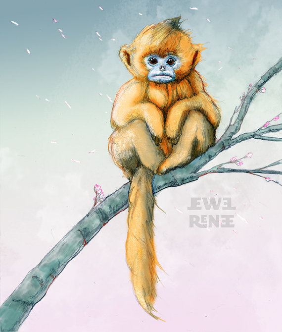Golden Snub-nosed Monkey clipart #10, Download drawings
