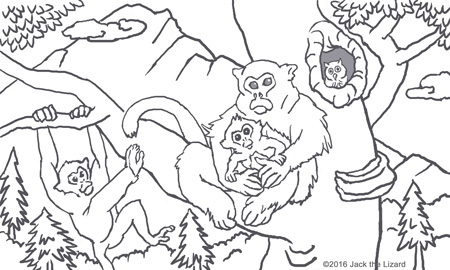 Golden Snub-nosed Monkey coloring #3, Download drawings