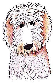 Goldendoodle clipart #15, Download drawings