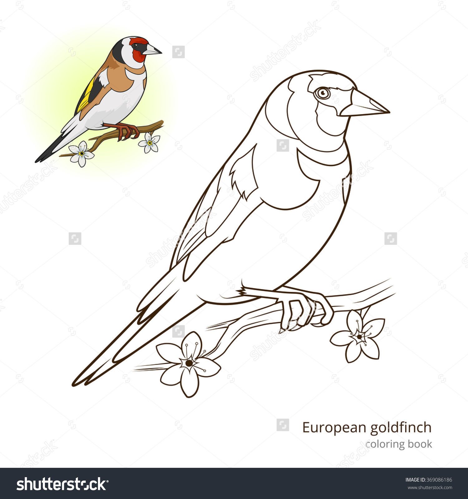 Goldfinch coloring #13, Download drawings
