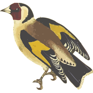Goldfinch svg #11, Download drawings