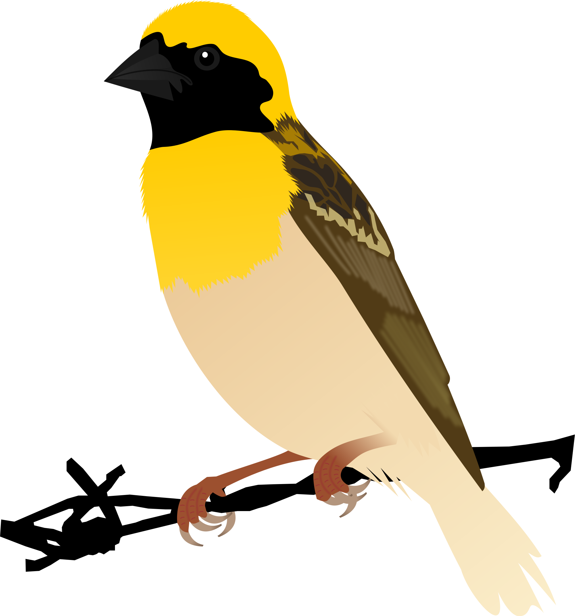 Goldfinch svg #3, Download drawings