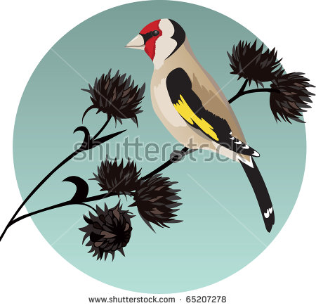 Goldfinch svg #16, Download drawings