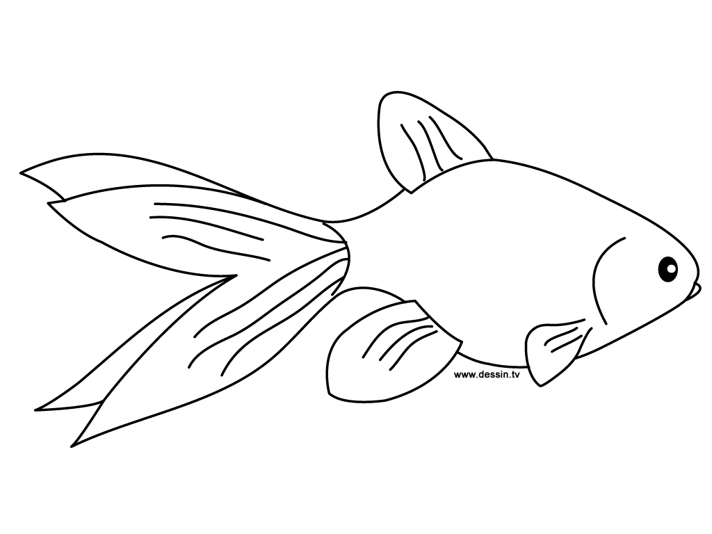 Goldfish coloring #12, Download drawings