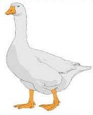 Goose clipart #18, Download drawings