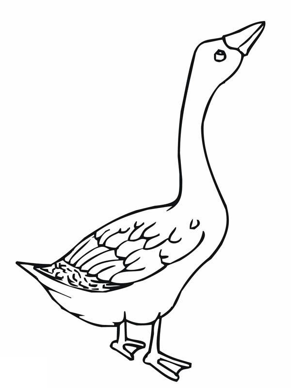 Goose coloring #14, Download drawings