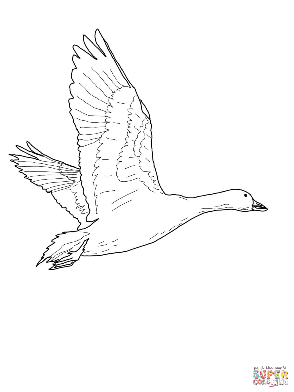 Goose coloring #5, Download drawings