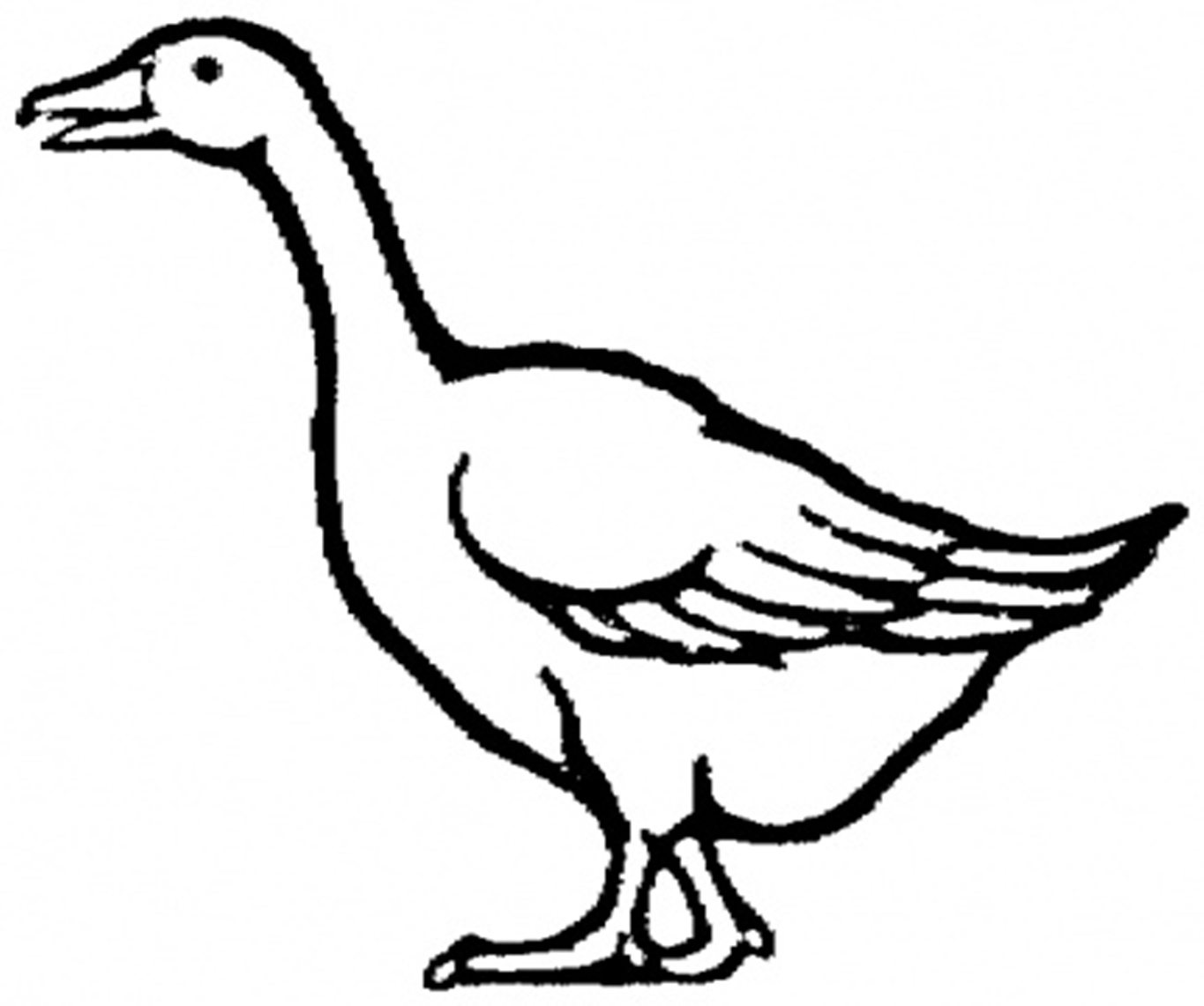Goose coloring #4, Download drawings