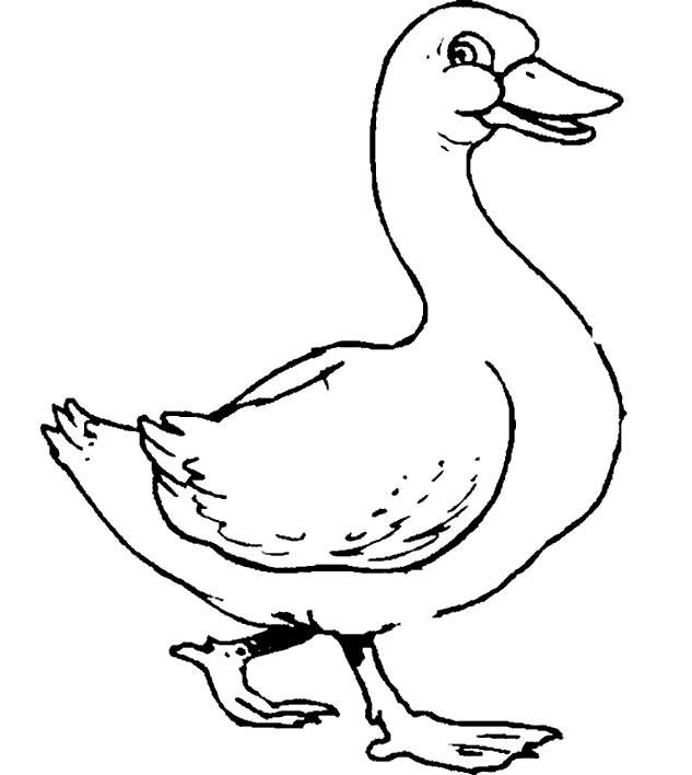 Goose coloring #17, Download drawings