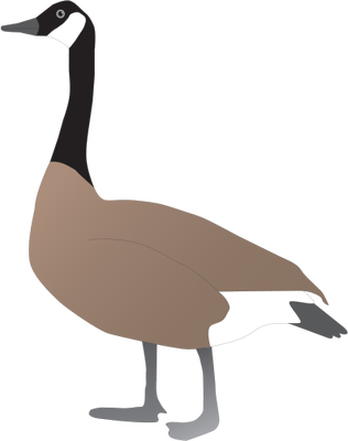 Canada Goose svg #19, Download drawings