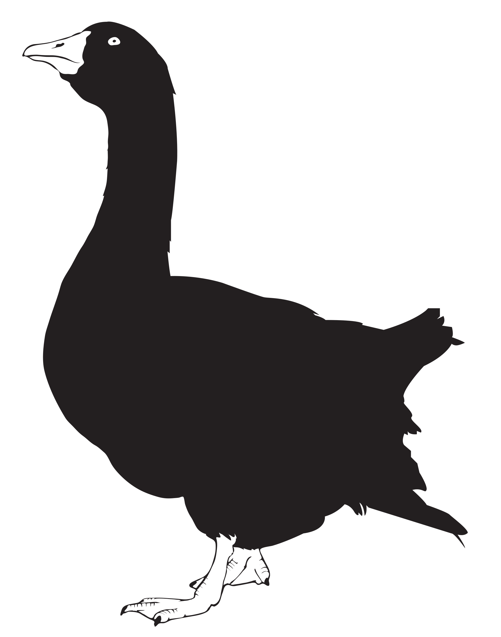 Goose svg #8, Download drawings
