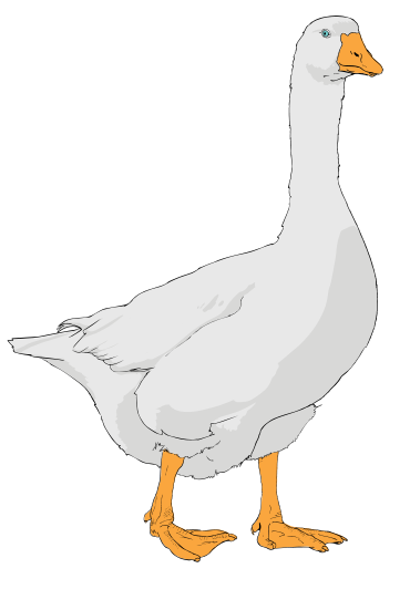 Goose svg #20, Download drawings