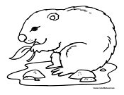 Gopher coloring #13, Download drawings