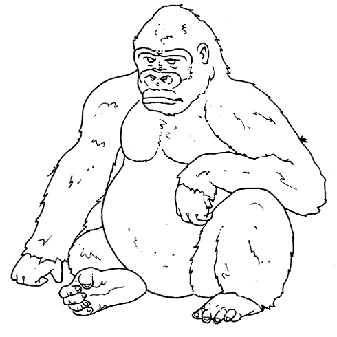 Gorilla coloring #10, Download drawings