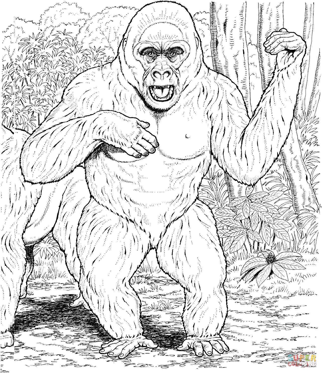 Gorilla coloring #5, Download drawings