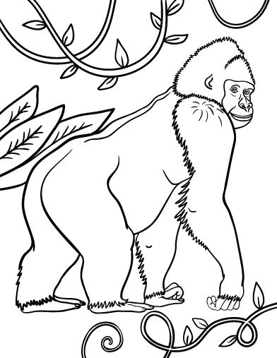 Gorilla coloring #9, Download drawings