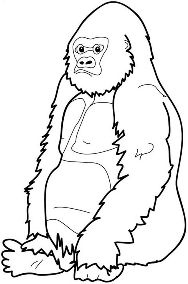 Gorilla coloring #4, Download drawings