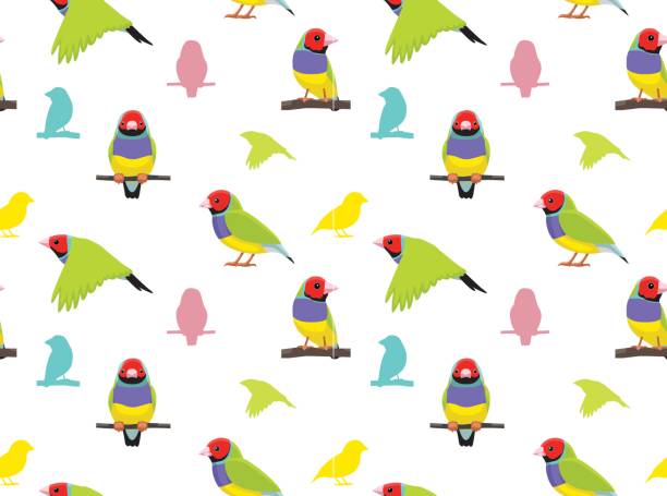 Gouldian Finches clipart #12, Download drawings