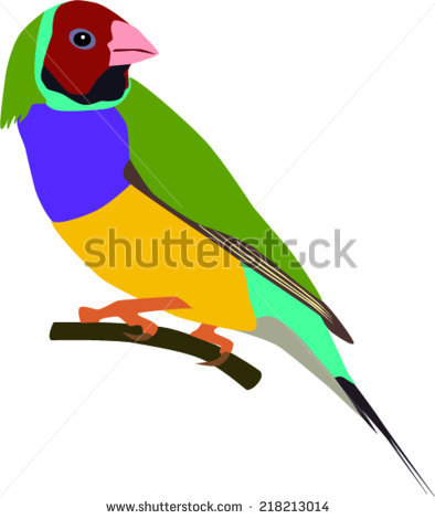 Gouldian Finch clipart #11, Download drawings