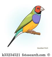 Gouldian Finch clipart #18, Download drawings