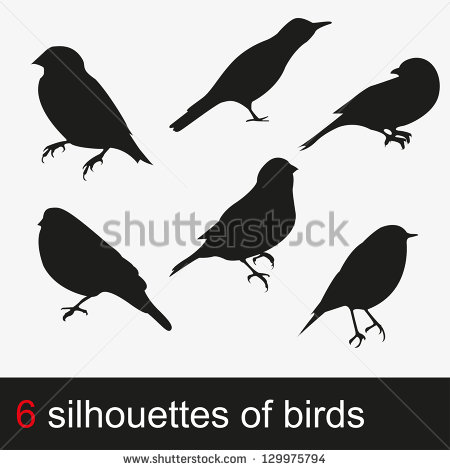 Gouldian Finches svg #14, Download drawings