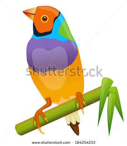 Gouldian Finches svg #20, Download drawings