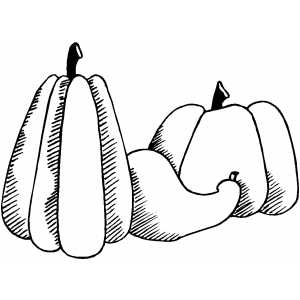 Gourd coloring #8, Download drawings