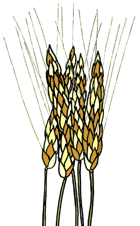 Grain clipart #4, Download drawings