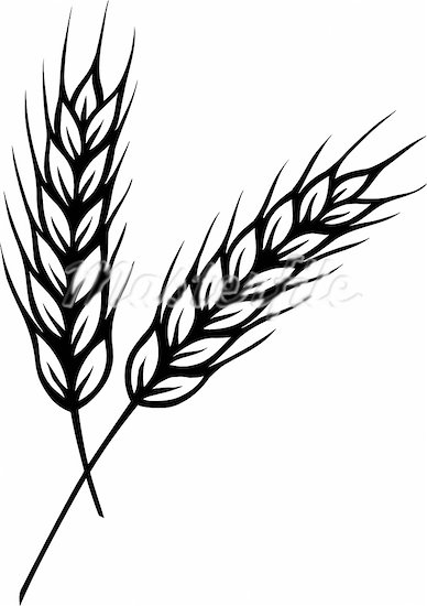 Grain clipart #7, Download drawings