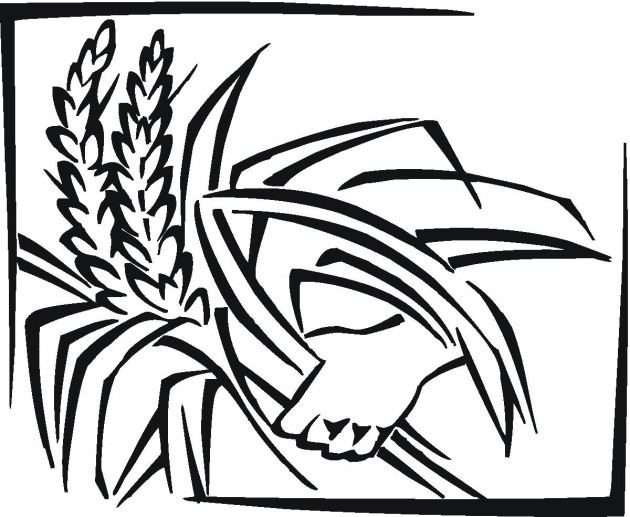 Grain coloring #7, Download drawings