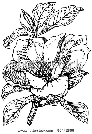 Grandiflora coloring #13, Download drawings